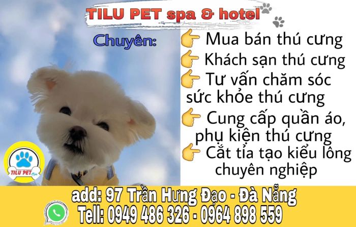 Kho phụ kiện đa dạng và chất lượng tại TILU PET