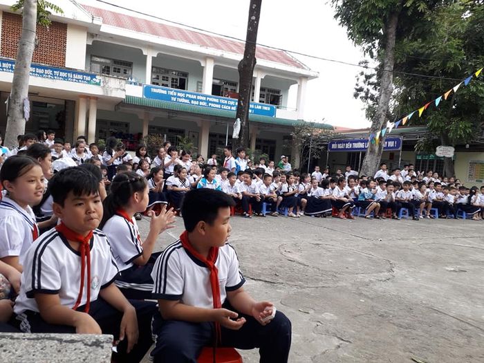 Không gian xanh mát tại Trường Tiểu học Phan Đình Phùng