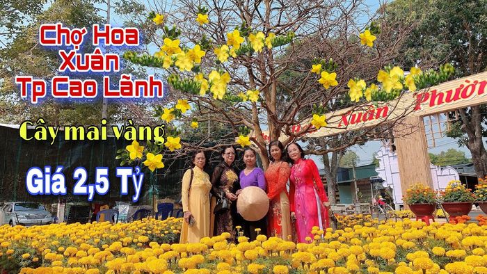 Chợ hoa Cao Lãnh - Hình ảnh 1