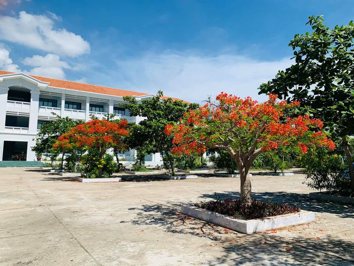 Trường THPT Chuyên Lê Quý Đôn Ninh Thuận - Hình ảnh 1