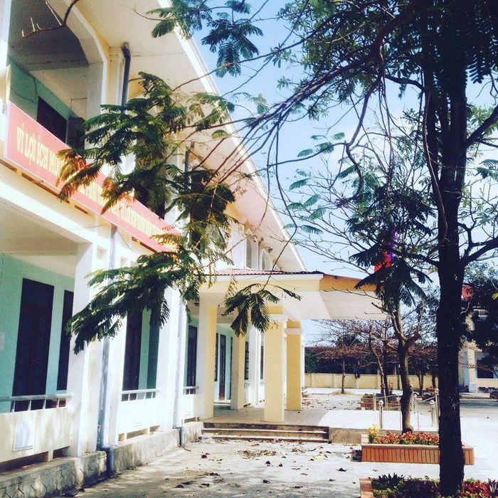 Hình ảnh Trường THPT Ninh Châu - Mái trường vững vàng trong hành trình giáo dục thế hệ tương lai
