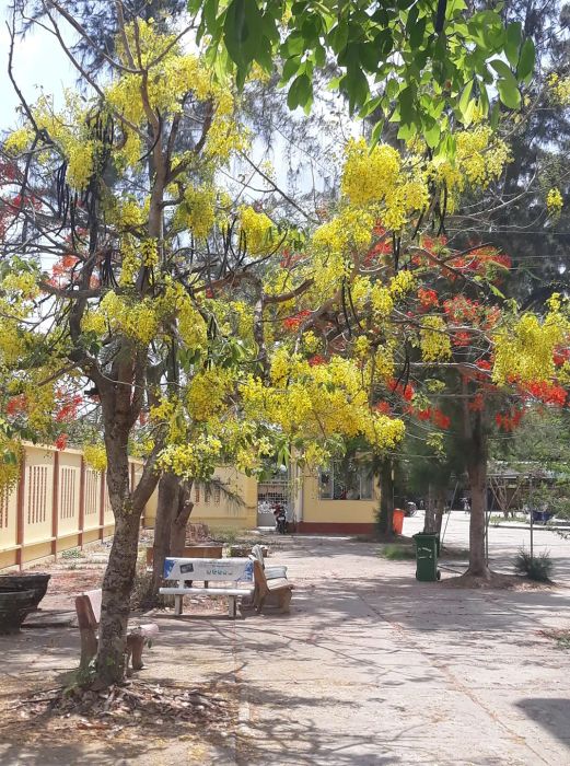 Góc chụp độc đáo về đời sống học đường tại THPT Tán Kế