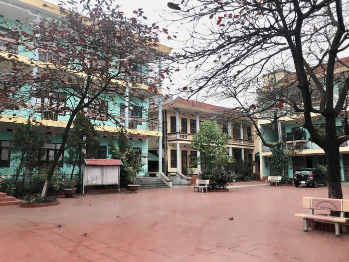 Trường THPT LƯƠNG THẾ VINH - Cẩm Phả - Hình ảnh 2