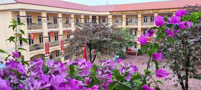 Hình ảnh nổi bật về Trường Tiểu học Lê Văn Tám