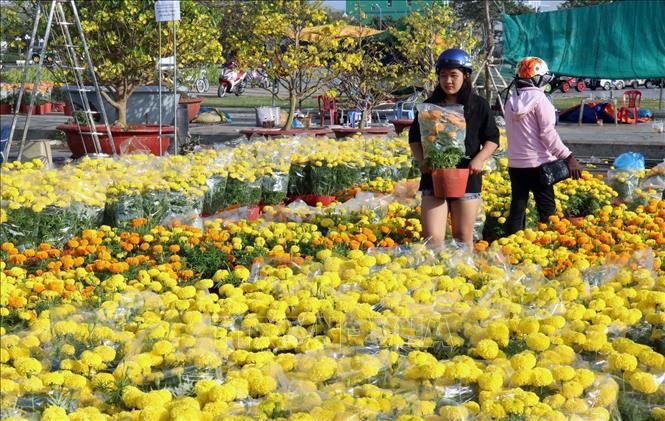 Chợ hoa Rạch Giá - Hình ảnh 1