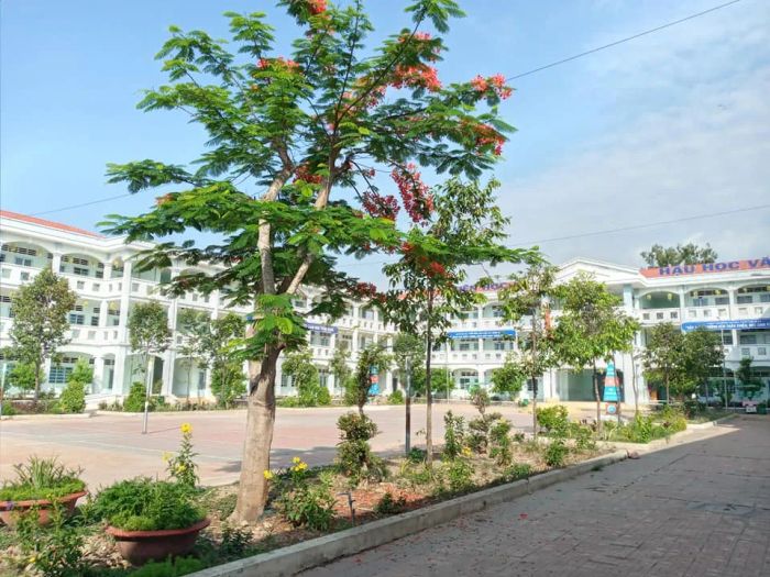 Bức ảnh thứ 2 về ngôi trường