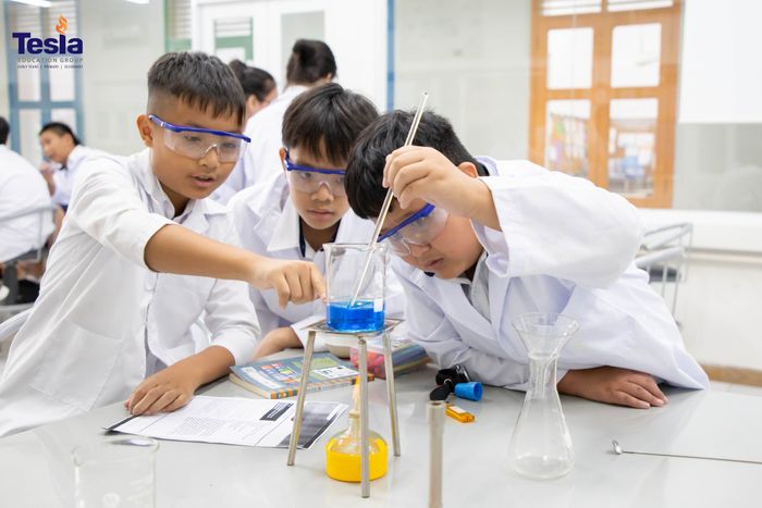 Khuôn viên xanh - hiện đại tại Trường Quốc tế Tesla