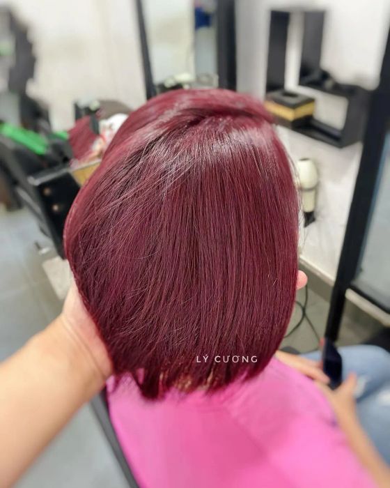 Salon Lý Cương ảnh 2
