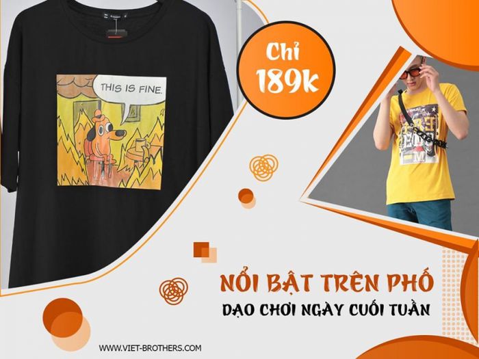 Hình ảnh VIỆT Brothers 1