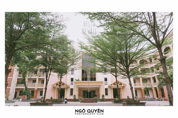 THPT Ngô Quyền - Hình ảnh ngôi trường cổ kính với bề dày truyền thống