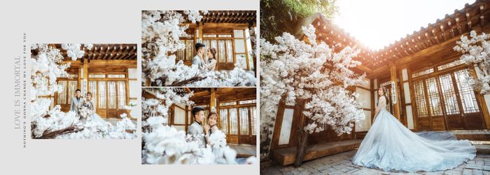 HỒNG CÚC Wedding ảnh 1 – Gửi gắm yêu thương qua từng khoảnh khắc