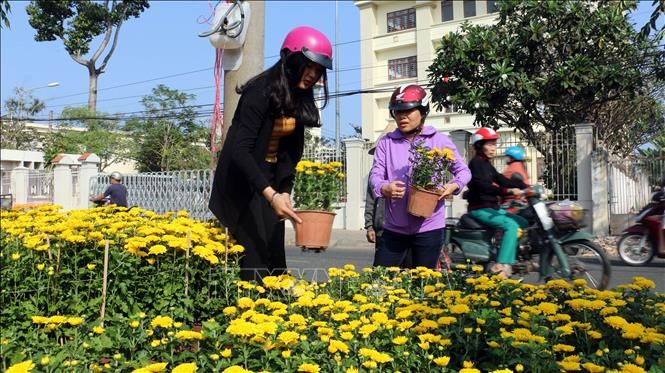 Chợ hoa Bến Tre ảnh 1