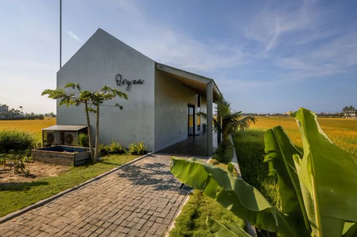 Ảnh 1: Oryza Villa giữa cánh đồng lúa bạt ngàn