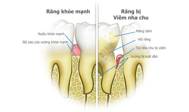 Không gian hiện đại tại Nha khoa Đông Nam