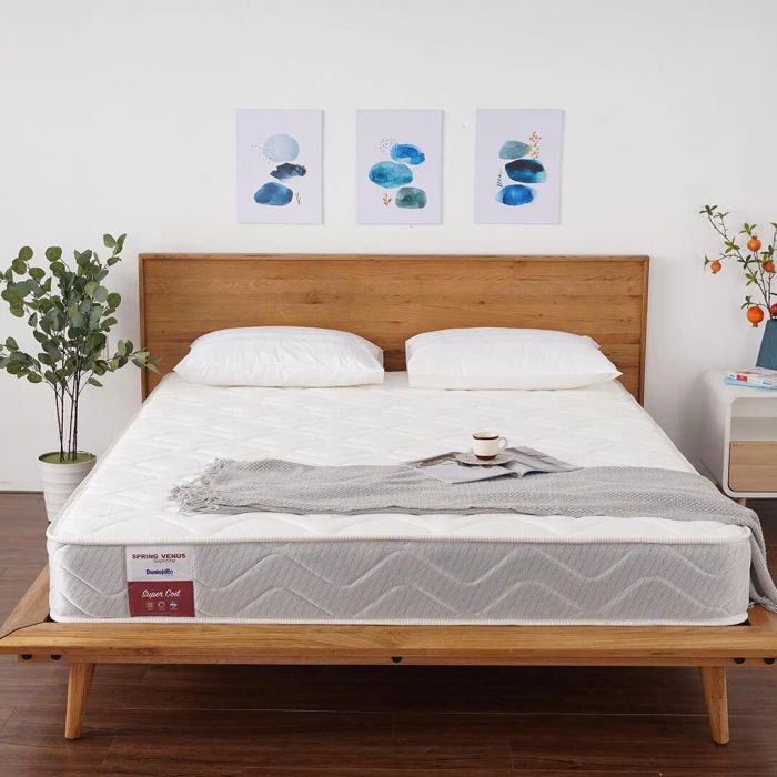 Không gian trưng bày đa dạng tại Tổng đại lý nệm Quy Nhơn