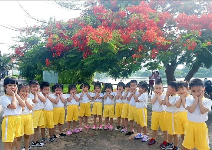 Khám phá thế giới học tập đầy màu sắc của các bé tại Mầm Non Trứng Vàng qua những hình ảnh sinh động.