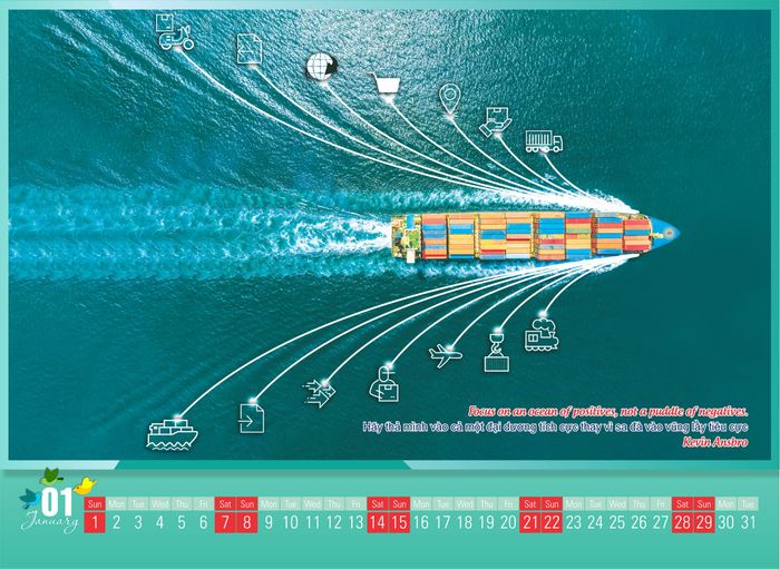 T&M Forwarding ảnh 2