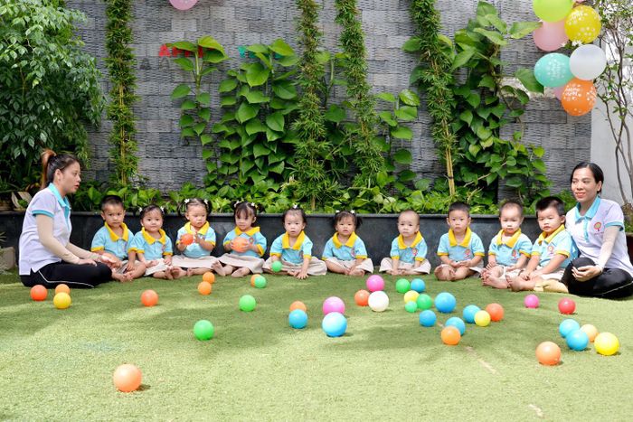 Khu vườn trải nghiệm thực tế tại Trường Mầm Non Apple Tree