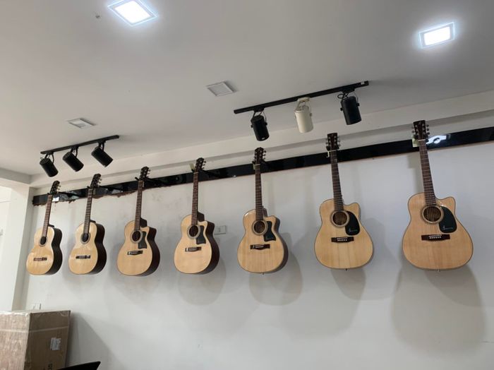 Không gian nghệ thuật đầy cảm hứng tại PHÚ PIANO