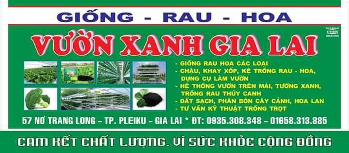 Không gian trưng bày đầy cảm hứng tại Vườn Xanh Gia Lai