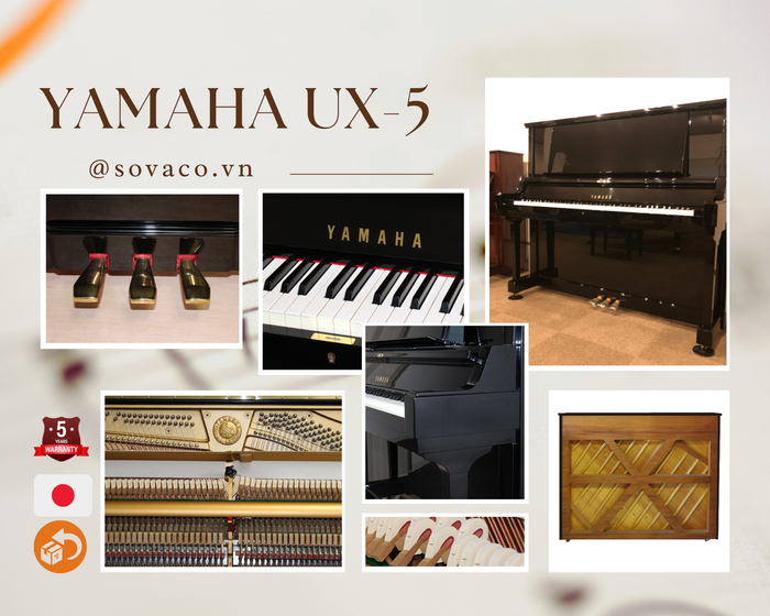 Hình ảnh không gian trưng bày đàn piano tại SOVACO