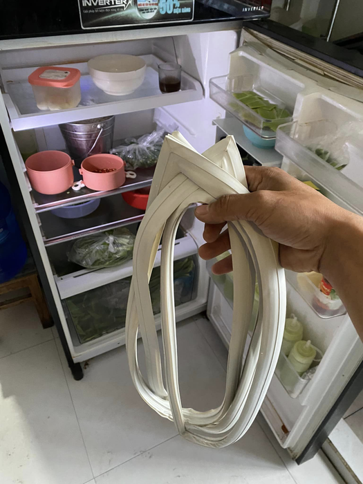 Hình ảnh hoạt động của Điện lạnh Miền Trung - Ảnh 2