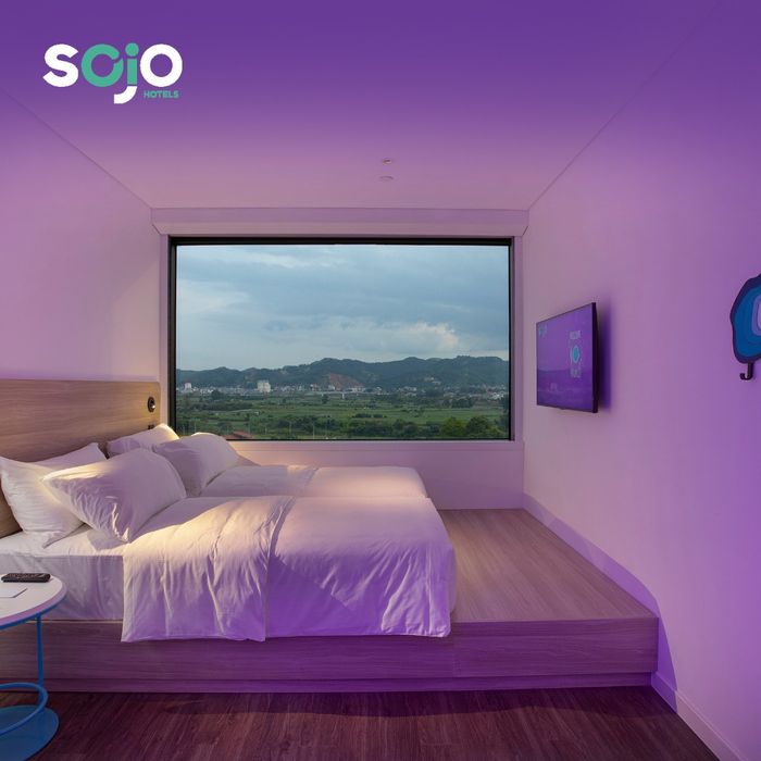 SOJO Hotels - Không gian nghỉ dưỡng đầy cảm hứng