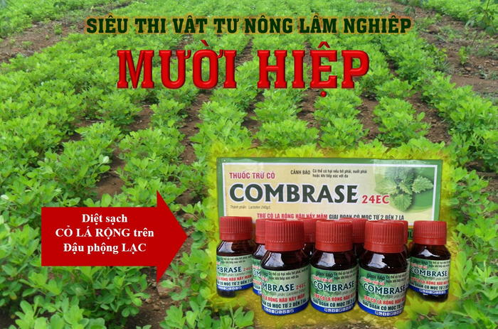 Không gian hiện đại tại siêu thị vật tư nông nghiệp Mười Hiệp