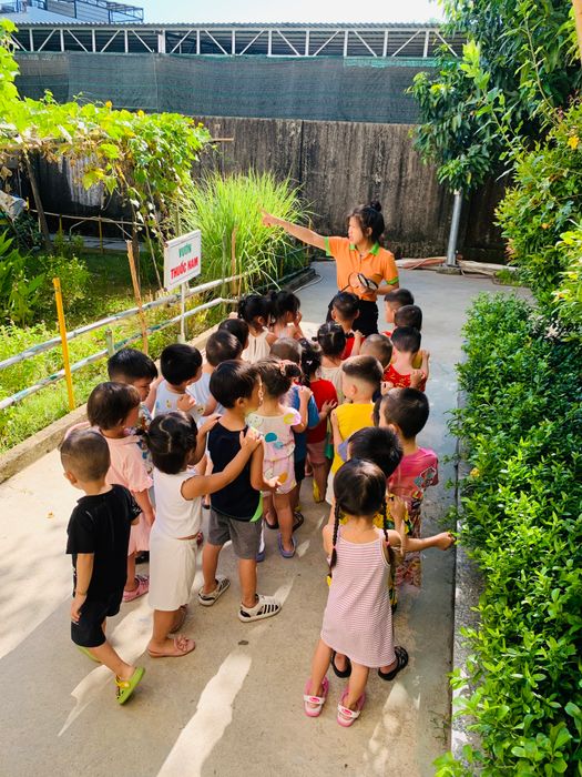 Góc học tập sáng tạo tại Trường Mầm Non Họa Mi