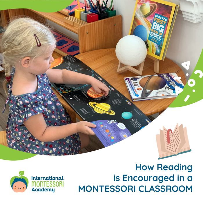 IMA Montessori Academy - Hoạt động thực hành cuộc sống