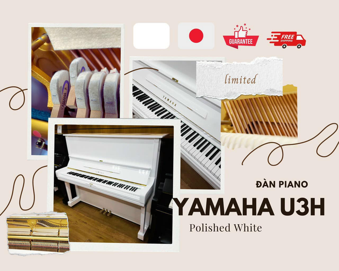 Hình ảnh showroom SOVACO Piano