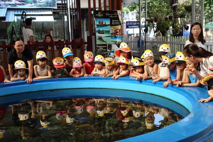 Không gian học tập hiện đại tại AnPha Kids