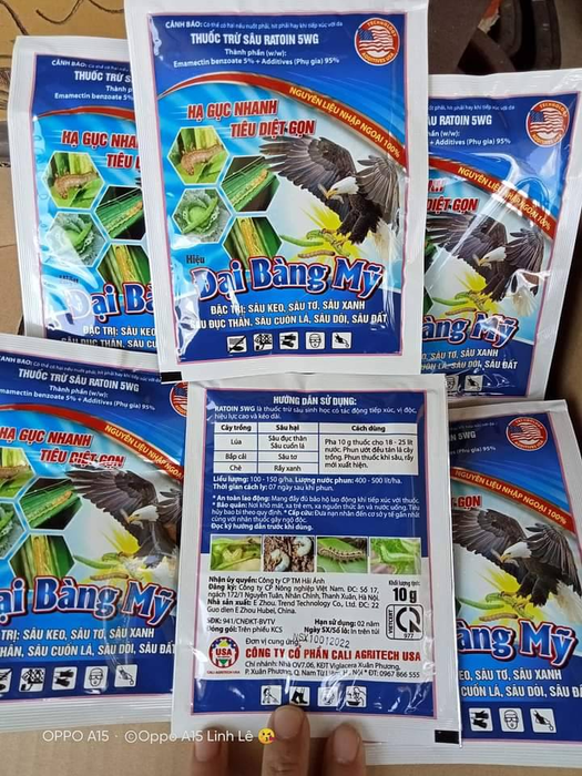 Hệ thống vườn đứng và thủy canh mẫu tại Vườn Xanh