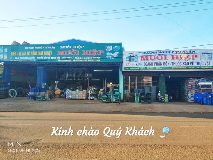 Hình ảnh đội ngũ chuyên viên tư vấn tại Mười Hiệp