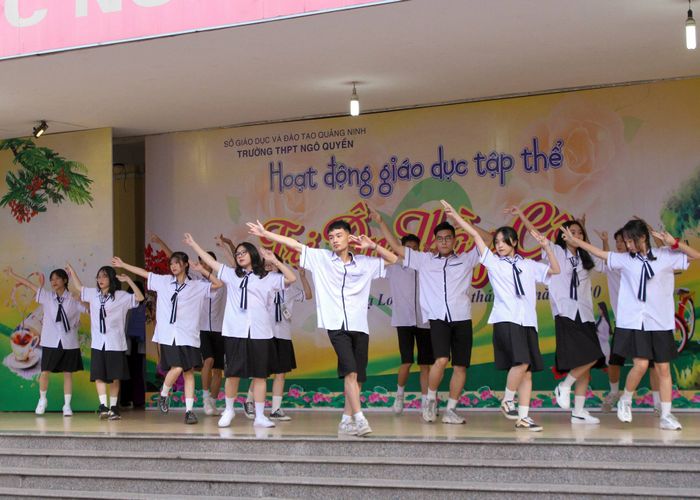 Hình ảnh 2 Trường THPT Ngô Quyền - Hạ Long, Quảng Ninh: Khuôn viên xanh mát với những hàng cây cổ thụ, nơi lưu giữ bao kỷ niệm đẹp của tuổi học trò.