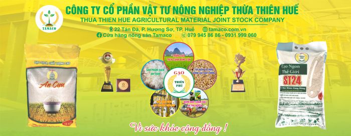 Không gian làm việc chuyên nghiệp tại Công ty CP Vật tư Nông nghiệp Thừa Thiên Huế