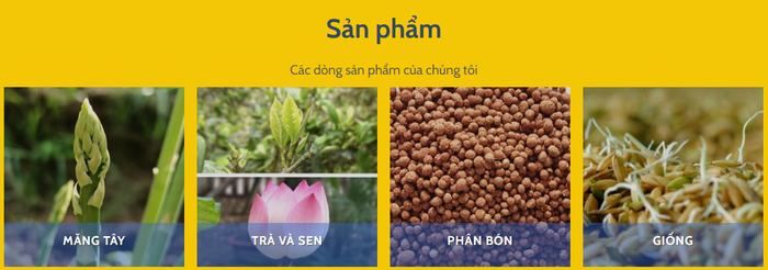 Hình ảnh trụ sở hiện đại của Tổng công ty CP Vật tư Nông nghiệp Nghệ An