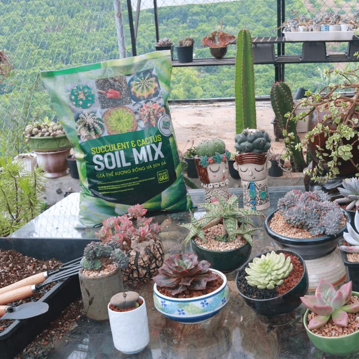 Không gian trưng bày đầy cảm hứng tại Vật tư Nông nghiệp Bảo Minh