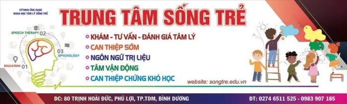 Hoạt động can thiệp chuyên nghiệp tại Sống Trẻ
