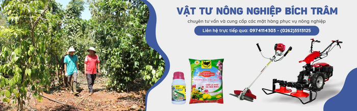 Không gian giao dịch tại Vật Tư Nông Nghiệp Bích Trâm