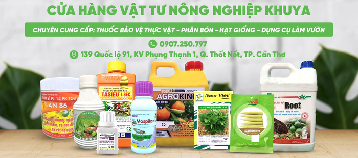 Không gian trưng bày hiện đại tại Vật Tư Nông Nghiệp Khuya