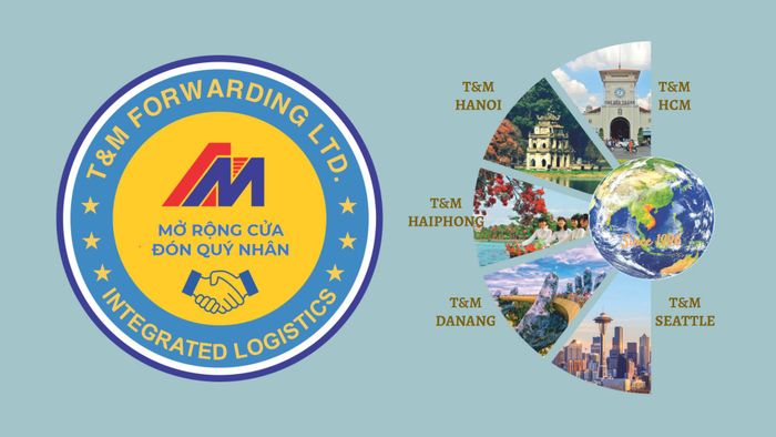 T&M Forwarding ảnh 1