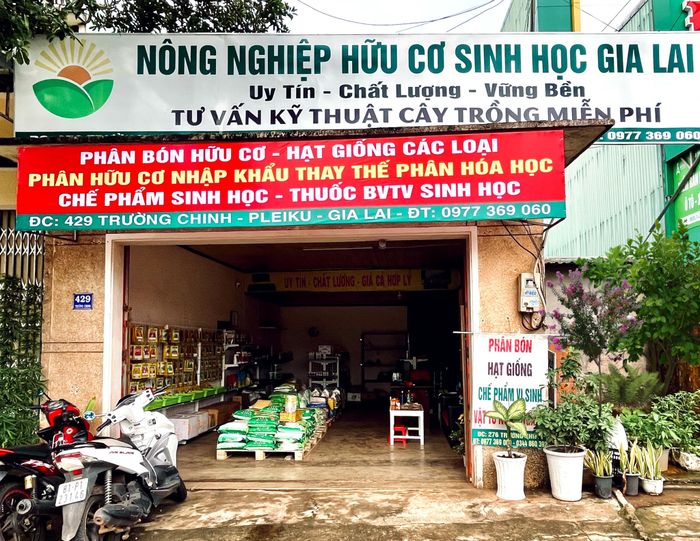 Hình ảnh sản phẩm hữu cơ chất lượng tại cửa hàng