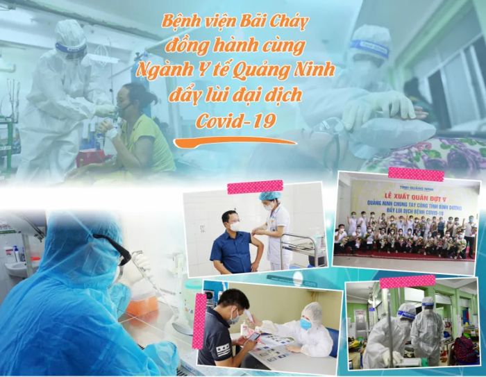 Bệnh viện Bãi Cháy - Cơ sở vật chất hiện đại phục vụ công tác khám chữa bệnh (Ảnh 1)