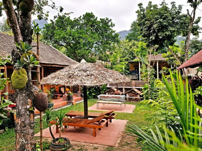 Highway 20 Homestay - Không gian sống động giữa núi rừng