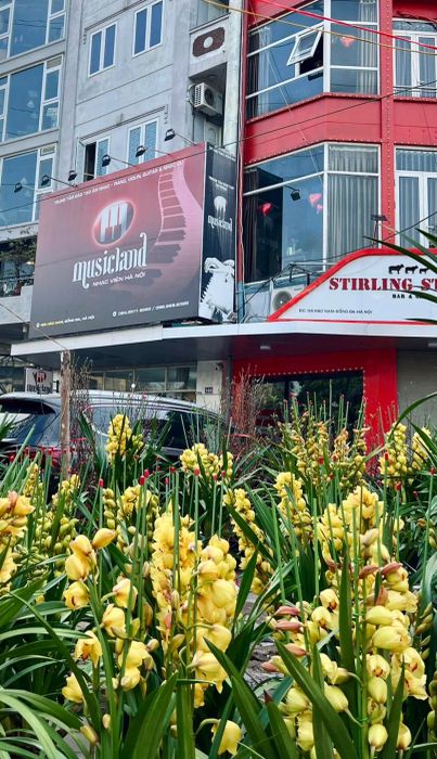 Không gian đào tạo chuyên nghiệp tại Musicland