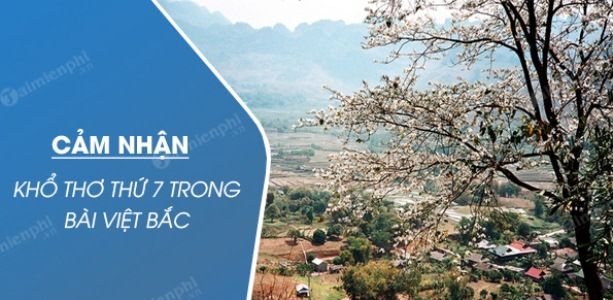 Hình ảnh minh họa (Nguồn từ internet) - Ảnh 1
