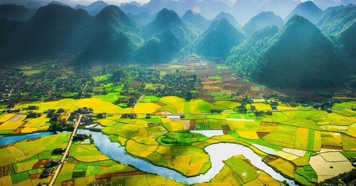 Ảnh minh họa (Nguồn internet) hình ảnh 1