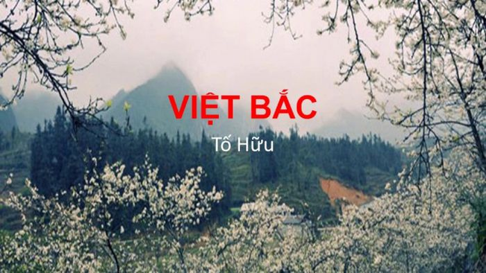 Ảnh minh họa (Nguồn internet) ảnh 1