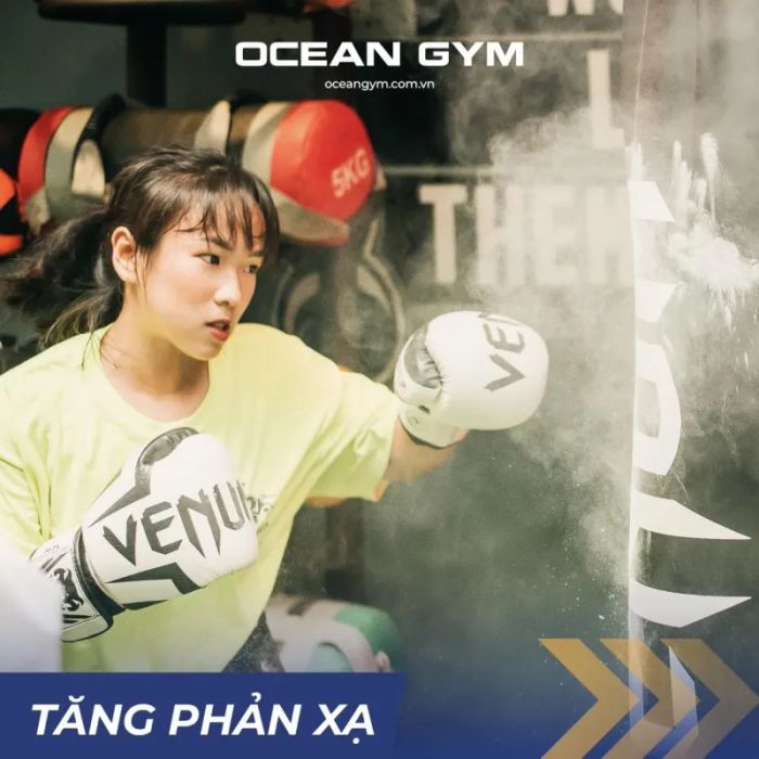 Hình ảnh không gian tập luyện tại Ocean Gym